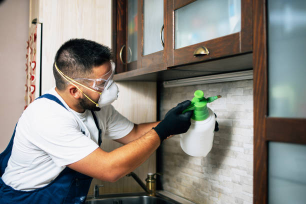 Professional Pest Control in Marysville, KS