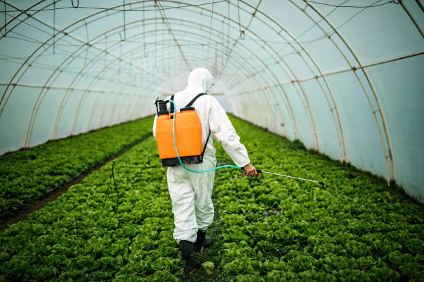 Best Mosquito Control Services  in Marysville, KS