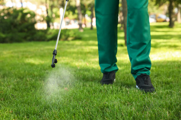 Best Flea Control Services  in Marysville, KS