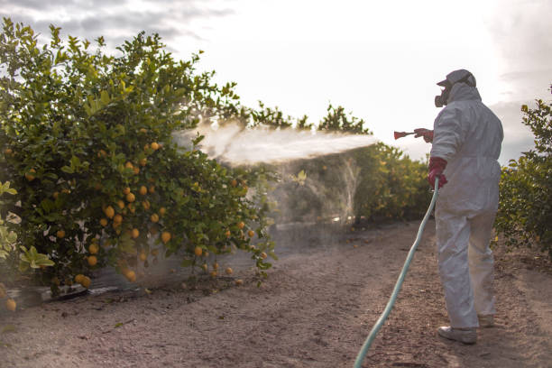 Best Commercial Pest Control Services  in Marysville, KS