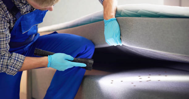 Best Pest Removal Services  in Marysville, KS