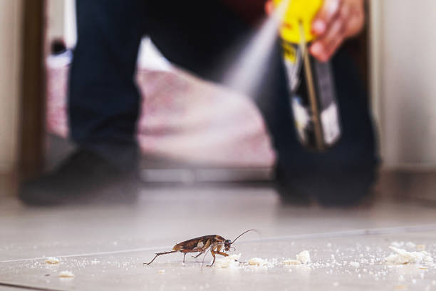 Best Spider Control Near Me  in Marysville, KS