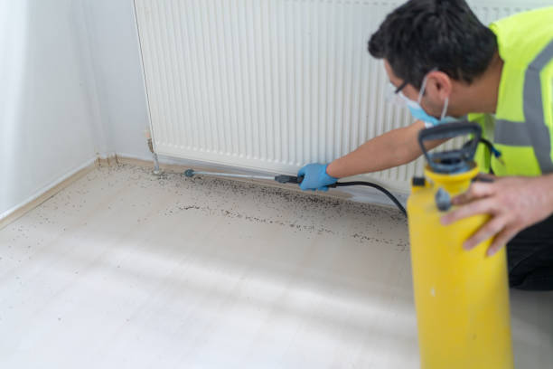 Wasp Removal Services in Marysville, KS