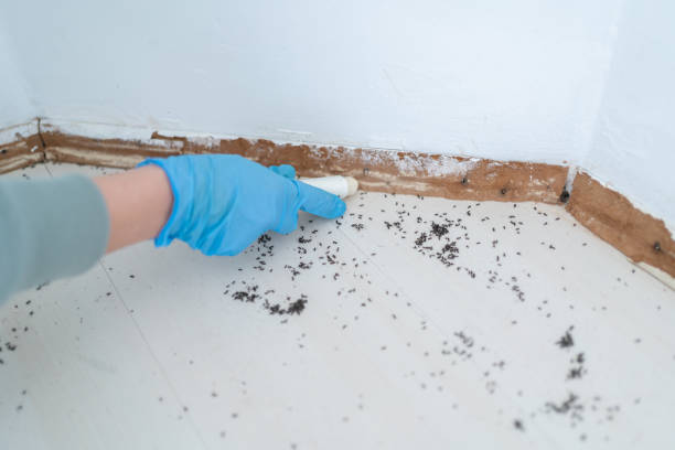 Best Affordable Pest Control Services  in Marysville, KS