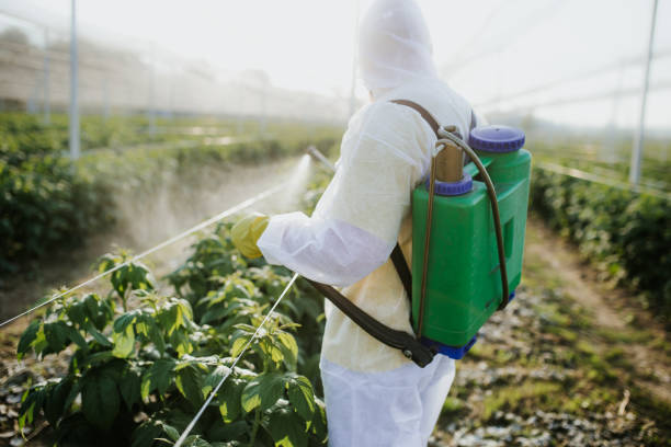 Best Best Pest Control Companies  in Marysville, KS